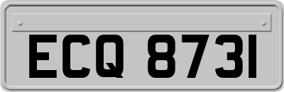 ECQ8731