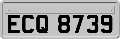 ECQ8739