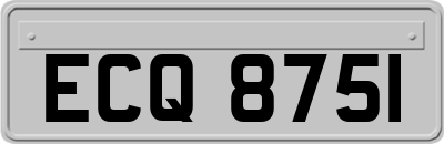 ECQ8751