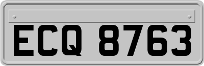 ECQ8763