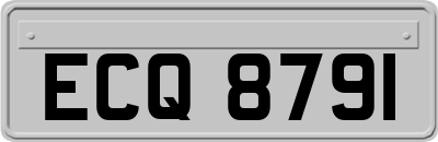 ECQ8791