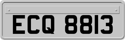 ECQ8813