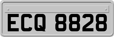 ECQ8828