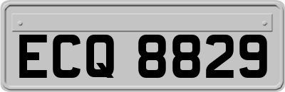 ECQ8829