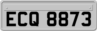 ECQ8873