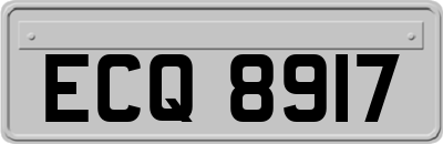 ECQ8917