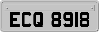 ECQ8918