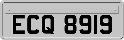 ECQ8919
