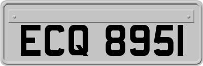 ECQ8951