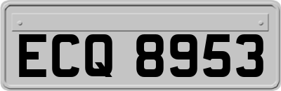 ECQ8953
