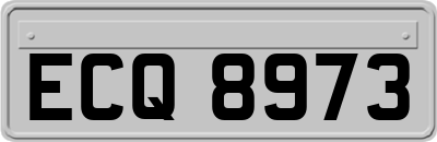 ECQ8973