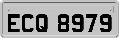 ECQ8979