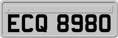 ECQ8980