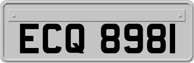 ECQ8981