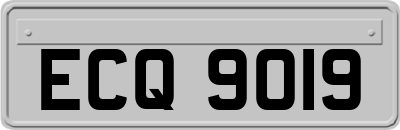 ECQ9019