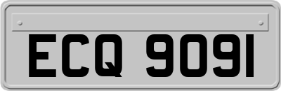 ECQ9091