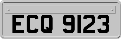 ECQ9123