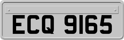 ECQ9165