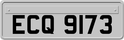 ECQ9173
