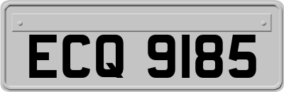 ECQ9185