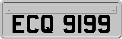 ECQ9199