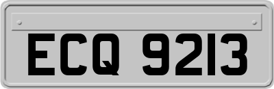 ECQ9213