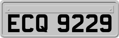 ECQ9229