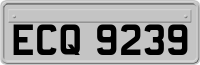 ECQ9239