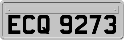 ECQ9273