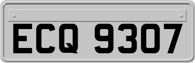 ECQ9307