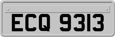 ECQ9313
