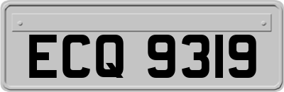ECQ9319