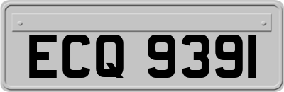 ECQ9391