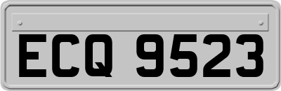 ECQ9523