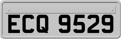 ECQ9529