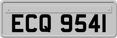 ECQ9541