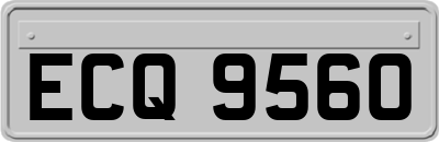 ECQ9560