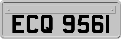 ECQ9561