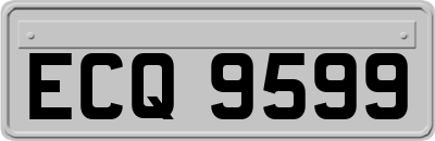 ECQ9599
