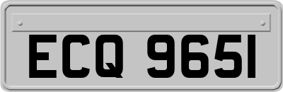ECQ9651
