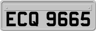 ECQ9665