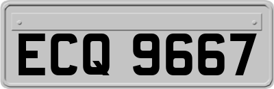 ECQ9667