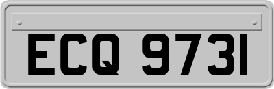 ECQ9731
