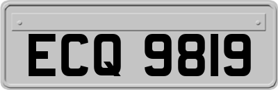 ECQ9819