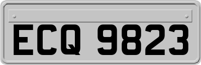 ECQ9823
