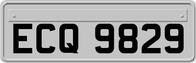 ECQ9829