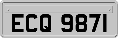 ECQ9871