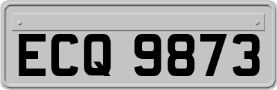 ECQ9873