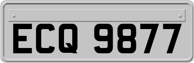 ECQ9877