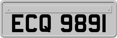 ECQ9891